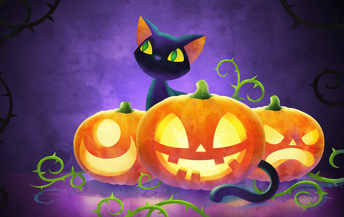 pumpkins and cat Thump – SOPHON KETHOM